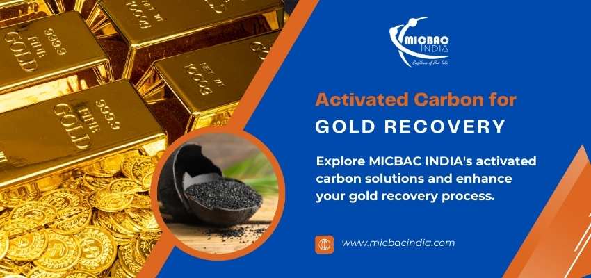 Activated Carbon for Gold Recovery